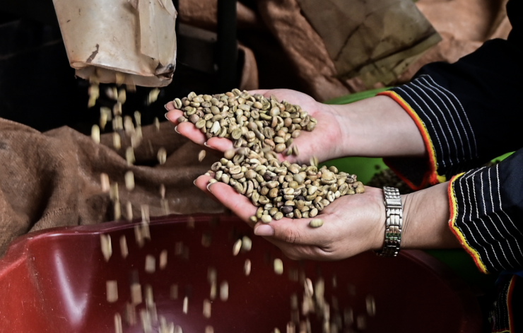 Doanh nghiệp Việt Nam đang đẩy mạnh sang chế biến sâu cà phê. Ảnh: Nguyễn Huế