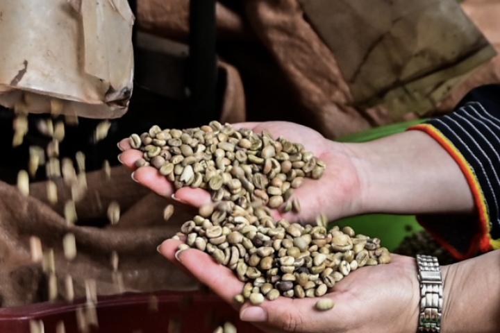 Một loại hạt giúp Việt Nam thắng đậm trên thế giới, mang về gần 9 tỷ USD