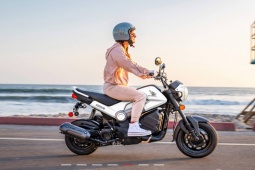 Ra mắt Honda Navi 2026, dòng xế mini hút dân đi dạo chơi