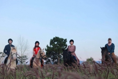 Bán xe ô tô mang ngựa về nuôi, thanh niên 9X gây dựng đàn vật nuôi tiền tỷ ở một phường mới, tỉnh Lâm Đồng