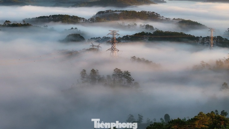 Kỳ thú săn mây ở Măng Đen - 5