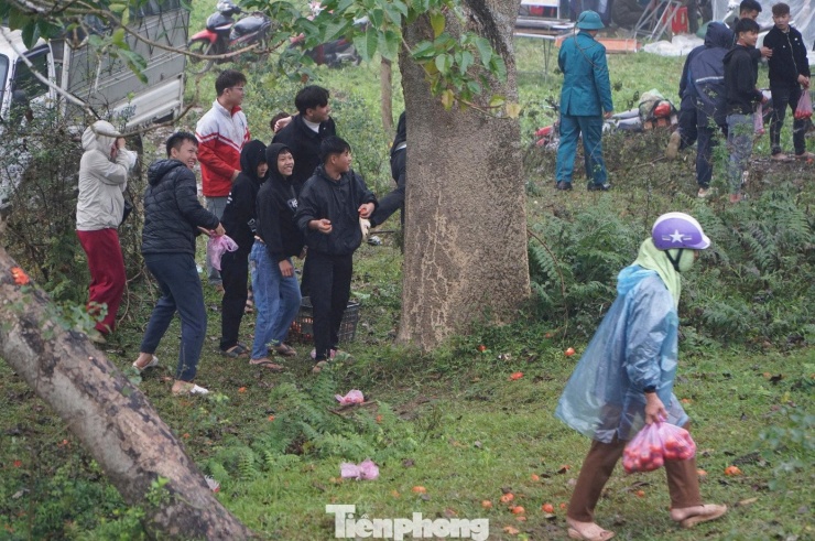 Điều đặc biệt tại phiên chợ là màn ném cà chua vào nhau để lấy may.