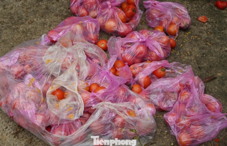 Để chuẩn bị cho phiên chợ, khắp nơi ở chợ bày bán "vũ khí" đặc biệt là “cà chua”.