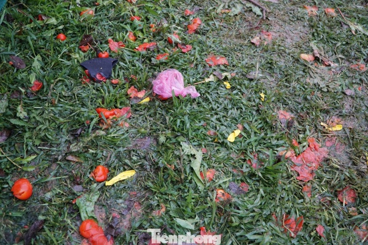 Sau mỗi màn "chiến đấu", vỏ cà chua rơi vương vãi khắp mặt đất.