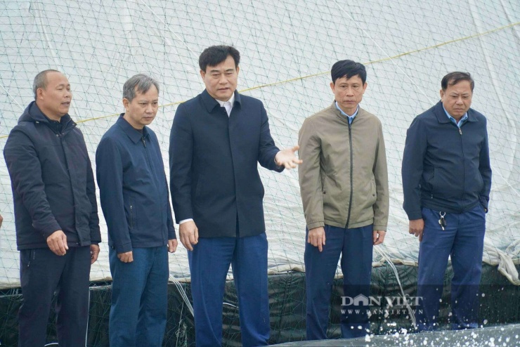 Ông Lê Văn Phương ở thôn Châu Triều, xã Hoằng Châu, tỉnh Thanh Hóa vẫn nuôi tôm theo hình thức quảng canh. Ảnh: Hữu Dụng