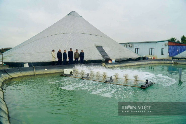 Nhờ nuôi tôm công nghệ cao nên hệ thống ao nuôi được xây dựng bài bản gồm ao nổi lót bạt, ao lắng, ao xử lý nước riêng biệt; lắp đặt quạt nước, hệ thống sục khí tự động và thiết bị theo dõi các chỉ số môi trường như pH, oxy hòa tan... Ảnh: Hữu Dụng