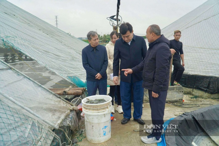 Mô hình nuôi tôm của ông Phương đang tạo việc làm thường xuyên cho 20 lao động địa phương. Ảnh: Hữu Dụng