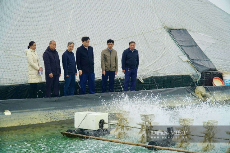 Lãnh đạo Hội Nông dân tỉnh Thanh Hóa và lãnh đạo xã Hoằng Châu thăm mô hình nuôi tôm của gia đình ông Lê Văn Phương. Ảnh: Hữu Dụng