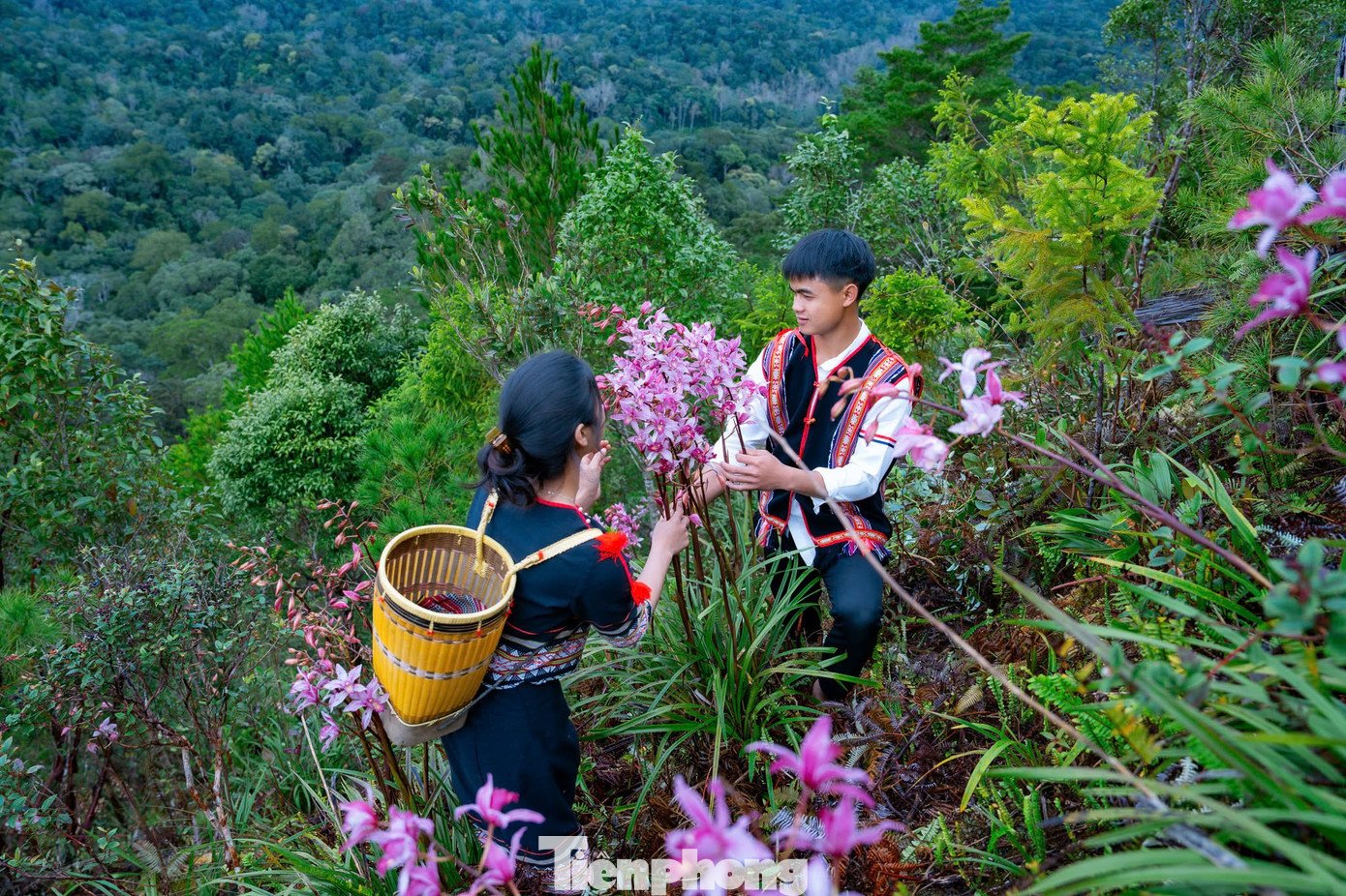 Nhiều loài hoa với nhiều màu sắc khác nhau mọc các sườn núi.