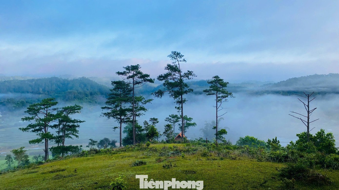 Theo bà Vũ Thị Hồng Phương - Giám đốc Trung tâm Cung ứng dịch vụ công xã Măng Đen, săn mây đã dần trở thành một “đặc sản” du lịch của địa phương. Những khoảnh khắc mây trời kỳ ảo không chỉ thu hút du khách mà còn là nguồn cảm hứng cho nhiều nhiếp ảnh gia.