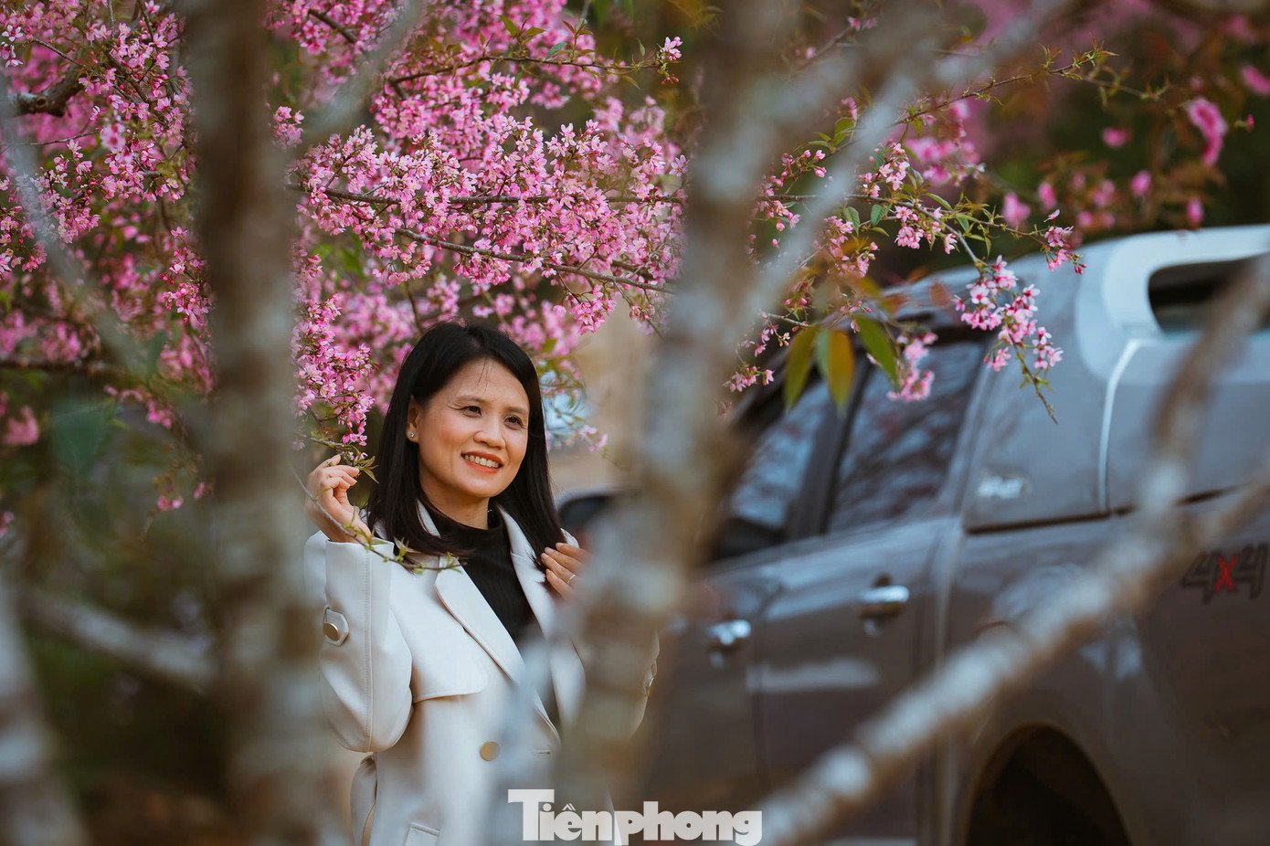 Đến Măng Đen vào thời điểm này du khách còn được thả bước bên các vườn hoa anh đào nở rộ.