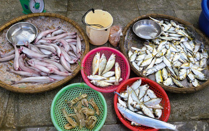 Vươn khơi những ngày đầu năm mới không chỉ mang lại thu nhập cao mà ngư dân còn kỳ vọng một mùa biển mới nhiều may mắn