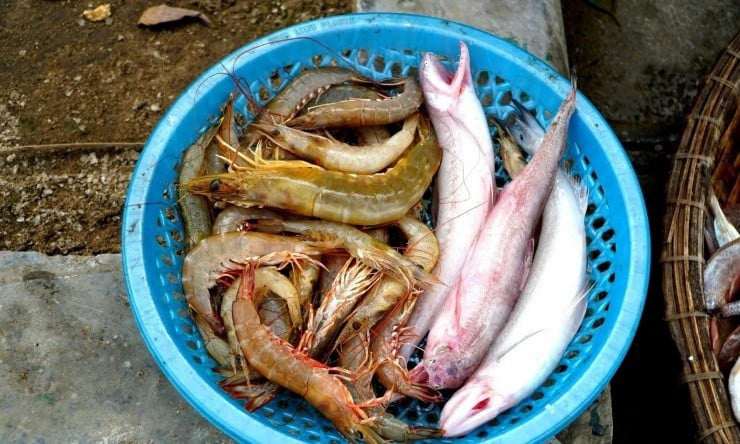 Trong số các mặt hàng, cá khoai khan hiếm nhất, giá dao động từ 750.000 - 1 triệu đồng/kg. Ảnh: Vietnamnet