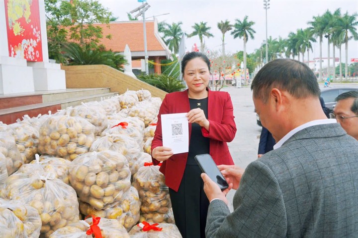 Bà Phạm Thị Như Phong, Bí thư Đảng ủy xã Vũ Thư tham gia livestream, giúp bà con nông dân trên địa bàn bán khoai tây đang gặp khó khăn trong tiêu thụ.