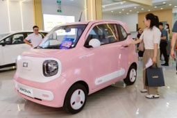 Ô tô điện giá rẻ ở Việt Nam: Chỉ từ 197 triệu đồng, trang bị sang, xịn vượt tầm giá