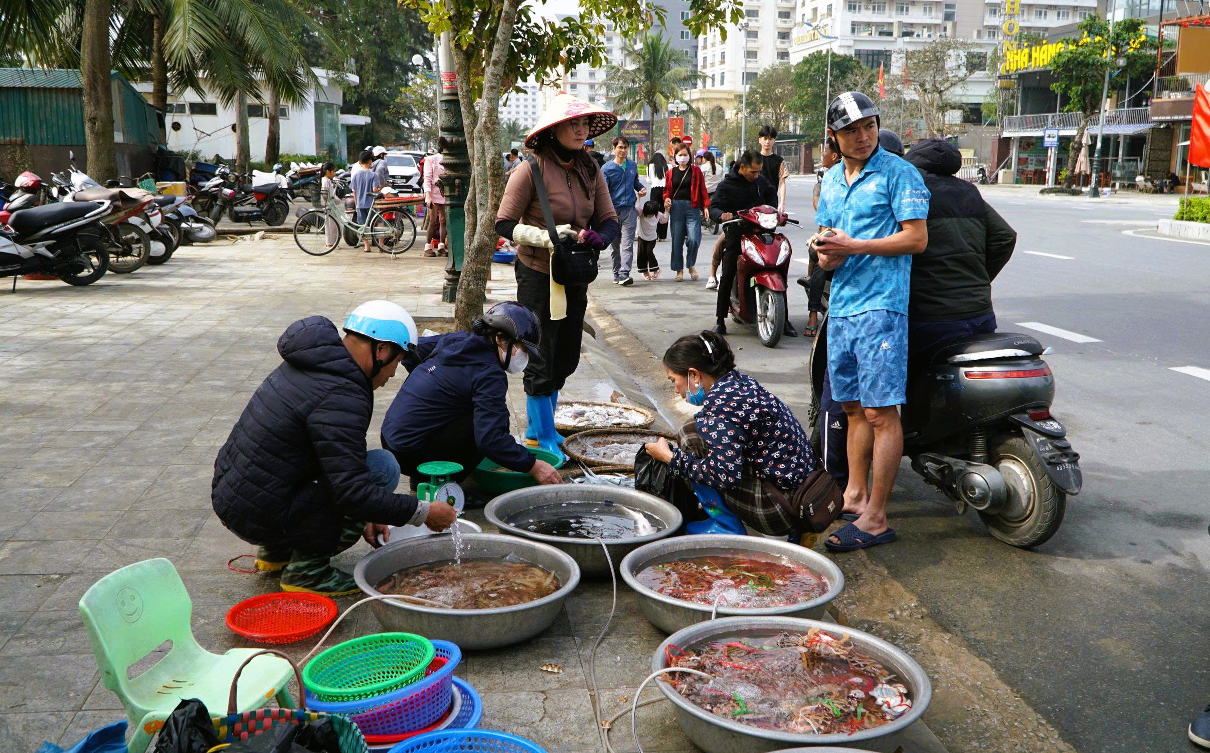 Những chuyến ra khơi đầu năm đầy may mắn của ngư dân Thanh Hóa.