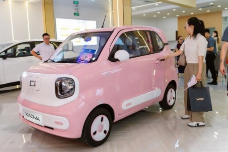 Ô tô điện giá rẻ ở Việt Nam: Chỉ từ 197 triệu đồng, trang bị sang, xịn vượt tầm giá