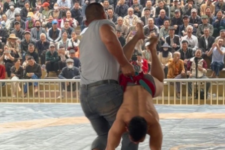 Hiếu "khổng lồ" nhấc bổng Đào Hồng Sơn như nhấc em bé, bị tố "chơi xấu" ở sới vật