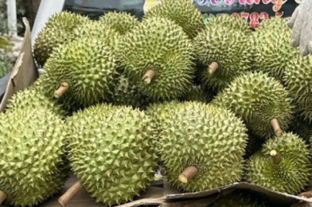 Giá sầu riêng đầu năm cao ngất ngưởng