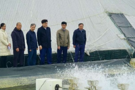 Nuôi tôm công nghệ cao kiểu gì mà một ông nông dân Thanh Hóa thu lãi 5 tỷ/năm, trang trại đẹp mê ly thế này đây