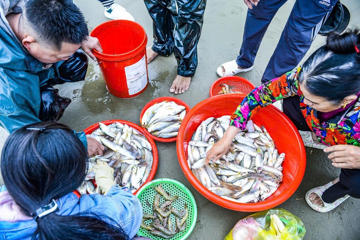 Những chuyến ra khơi đầu năm đầy may mắn của ngư dân Thanh Hóa.