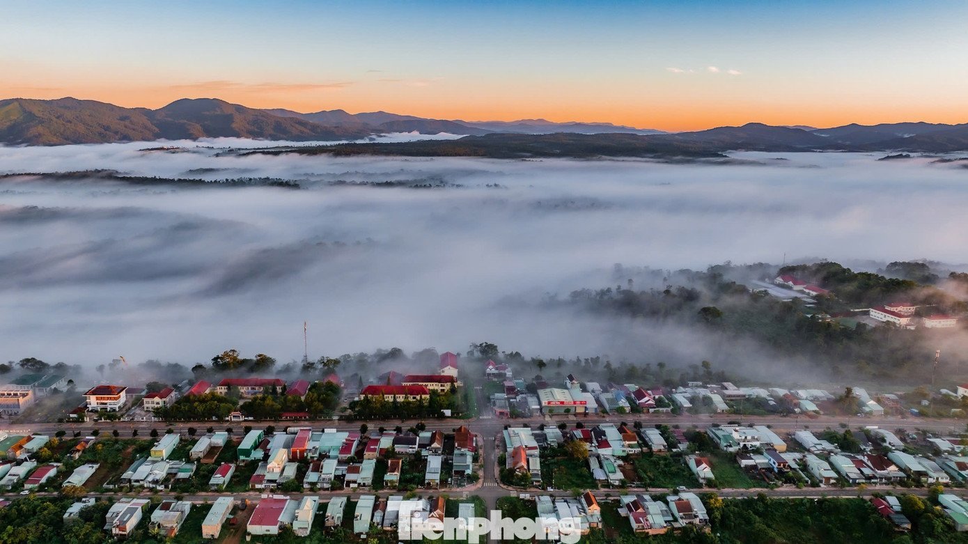 Chỉ cần ngồi nhâm nhi ly cà phê nóng, thả ánh nhìn theo từng làn mây lững lờ trôi qua rừng thông, du khách đã có thể cảm nhận trọn vẹn nhịp thở chậm rãi của vùng đất cao nguyên.