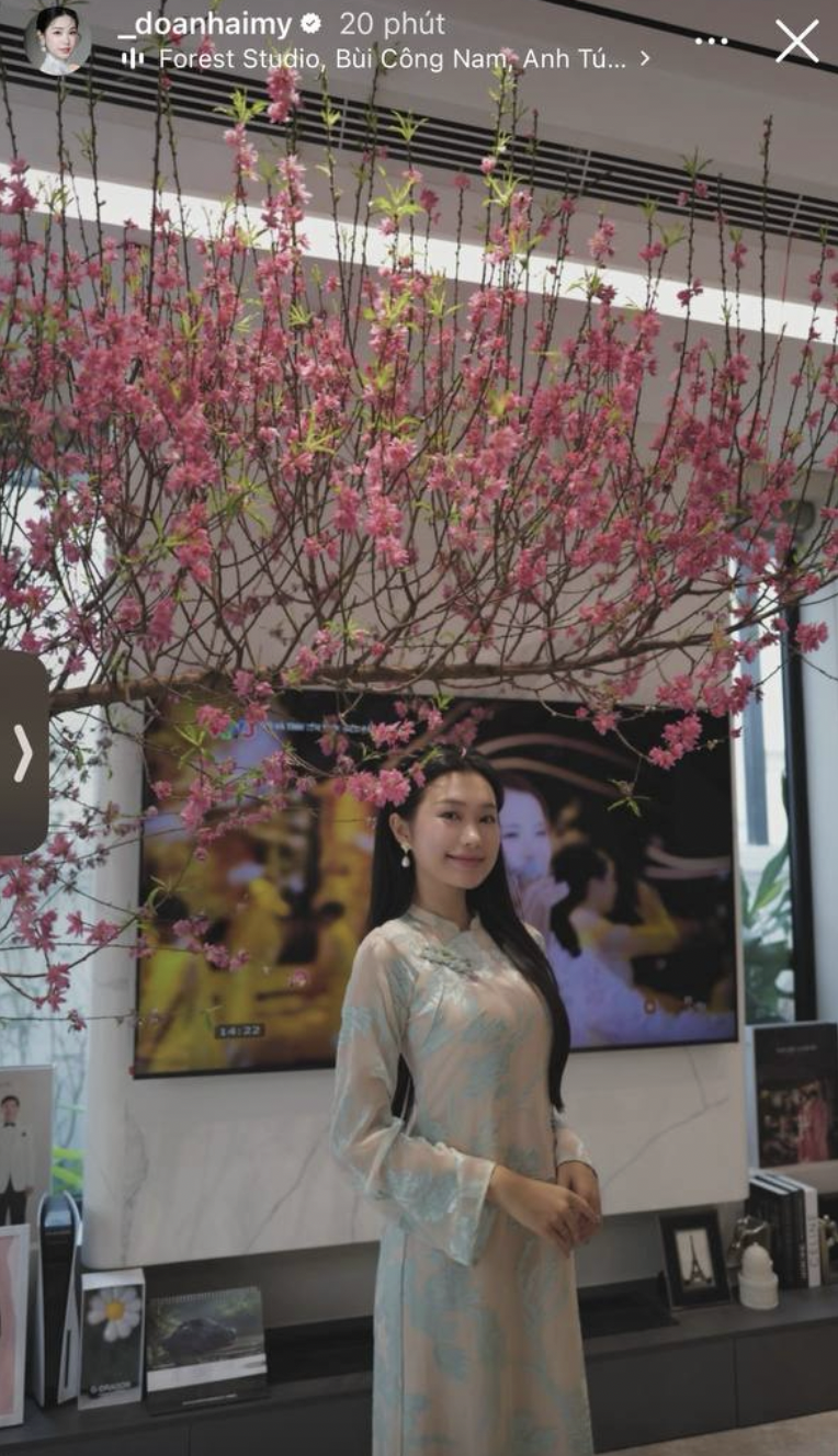 Hình ảnh dịu dàng, đằm thắm của Doãn Hải My trong dịp Tết Nguyên Đán 2026.