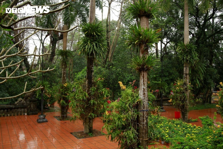 Chùa Diệu Đế cũng trải qua nhiều thăng trầm theo những biến cố lịch sử. Sau biến cố thất thủ kinh đô năm 1885, kinh thành Huế bị quân Pháp đánh chiếm đốt phá tan hoang nên một số quan chức của triều đình tạm dời về chùa Diệu Đế để làm việc. Vì thế nhiều chỗ trong chùa được triều đình trưng dụng làm công đường, kho bạc, sở đúc tiền, phòng xem thiên văn dự đoán thời tiết, và thậm chí là cả nhà lao. Những năm sau đó chùa tiếp tục bị hư hỏng nặng đến nỗi nhiều dãy nhà phải bị triệt bỏ, phải đến năm 1910 chùa mới được tu bổ lại phần nào nhưng vẫn không bằng được như xưa. Năm 1930, chùa được dùng làm trụ sở của Hội Phật học An Nam hay còn gọi là Hội Phật học Trung Kỳ.