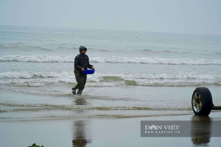 Bắt bề bề toàn con to bự, cá thờn bơn tươi rói, cá trích nhặt mỏi tay ở bờ biển Thanh Hóa - 2