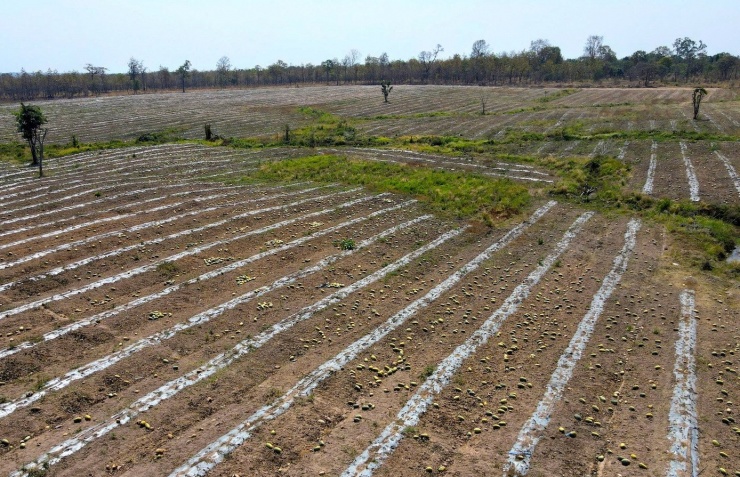 UBND xã Ia Mơ tiến hành giải quyết hòa giải﻿ theo nội dung đơn đề nghị của những người liên quan, nhưng các bên liên quan đến dự chỉ 3 người, còn lại vắng mặt không đến để tham dự. Việc này dẫn đến buổi làm việc giải quyết vụ việc không có kết quả.