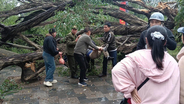 Hiện trường khu vực cây xanh trong Vườn hoa Lý Tự Trọng (phường Tây Hồ, TP Hà Nội) gãy đổ khiến người dân bị thương.