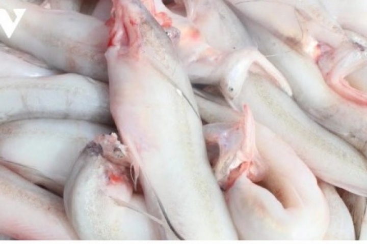 Giá lên tới cả triệu đồng/kg, loại cá thân mềm nhũn vẫn “cháy hàng”