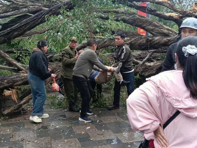 Hà Nội: Cây xanh gãy đổ tại vườn hoa Lý Tự Trọng, hai người bị thương