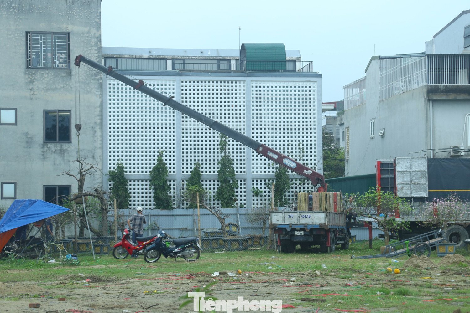 Hiện, các tiểu thương xử lý cây ế theo 3 cách chính. Thứ nhất, bán thanh lý với giá rẻ, thậm chí vừa bán vừa cho. Thứ hai, hoàn trả lại cho các đầu mối ở ngoài tỉnh với mức giá bằng khoảng một nửa so với giá nhập. Thứ ba, gửi lại các nhà vườn trong và ngoài tỉnh chăm sóc để tiếp tục đưa ra thị trường vào dịp Tết năm sau.