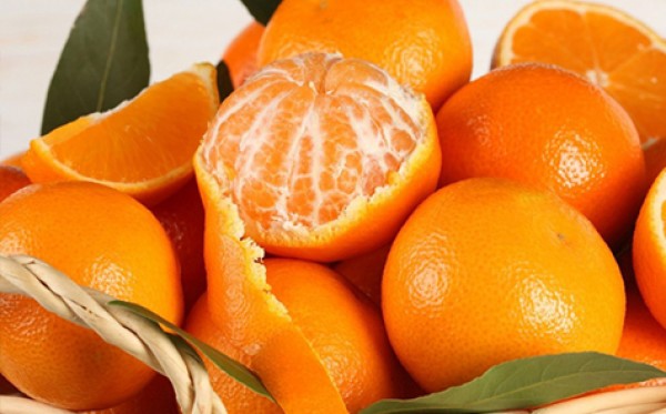 Cam và quýt là những loại quả không thể thiếu trên mâm ngũ quả ngày Tết.