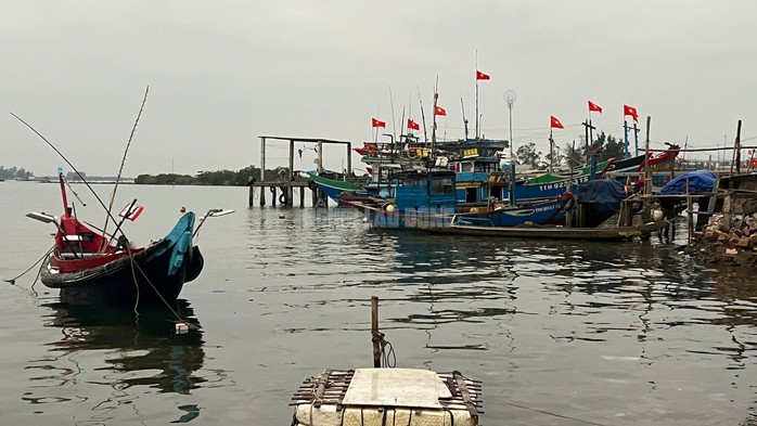 Nhiều ghe vào bờ sau một đêm ra biển xúc mực.