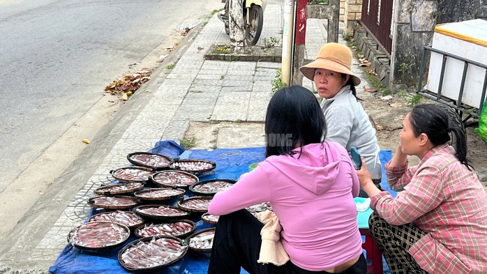 So với trước Tết Bính Ngọ thì thời điểm này mực ít hơn. Trước Tết có người một đêm xúc được hơn 40 rổ mực, thu lợi hơn 10 triệu đồng.