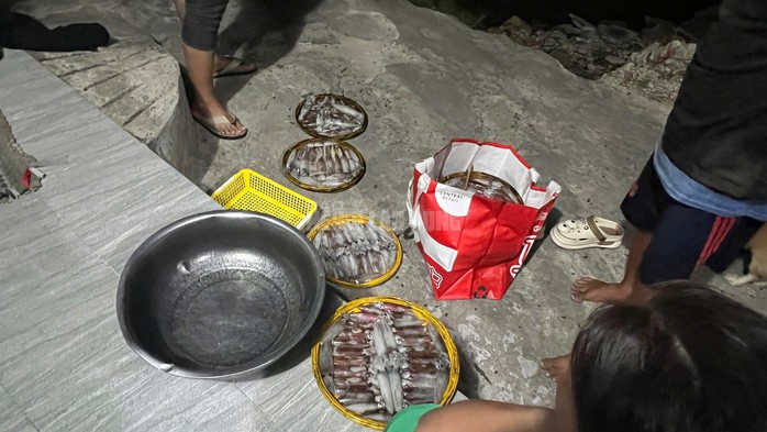 Nhiều người vẫn còn quan niệm ăn mực đầu năm sẽ xui nhưng đối với ngư dân miệt biển thì loài hải sản này đang mang đến thu nhập lớn, niềm vui lớn cho họ trong dịp Tết 2026.