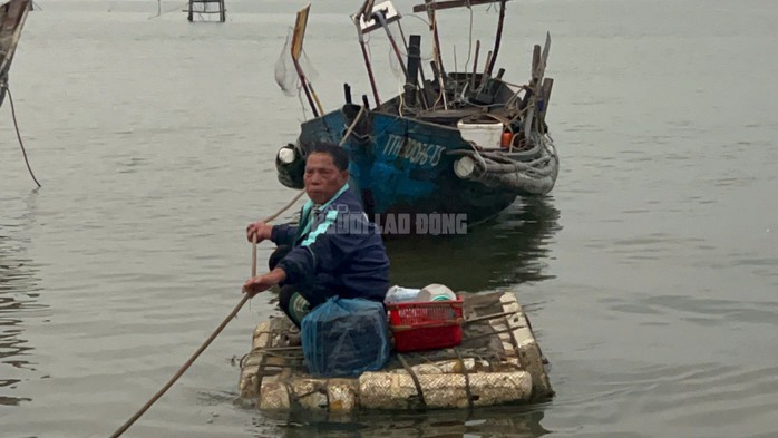 Một ngư dân 70 tuổi cập bờ sau một đêm ra biển xúc mực. 7 rổ mực tươi là kết quả một đêm ông ra khơi, thu lợi khoảng 2 triệu đồng. Có đêm ông xúc đến hơn 10 rổ mực.