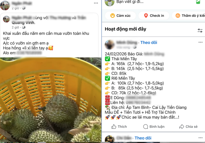 Trên các hội nhóm, nhiều thương lái đăng bài tìm mua sầu riêng với giá cao.