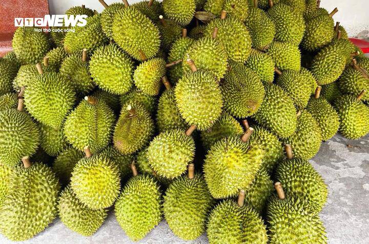 Nguồn cung khan hiếm trong khi nhu cầu xuất khẩu tăng mạnh đẩy giá sầu riêng lên mức cao ngay sau Tết Bính Ngọ.