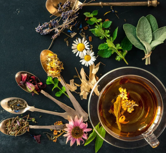 Các loại trà thảo mộc giàu chất chống oxy hóa, giúp hỗ trợ tiêu hóa…