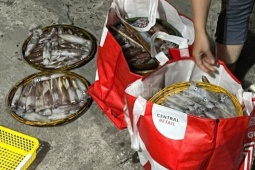 CLIP: Đầu năm trúng lớn loài hải sản nhiều người kiêng cữ, ngư dân bật mí nguyên nhân