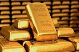 Giá vàng hôm nay (24/2): Tiếp tục tăng "phi mã"
