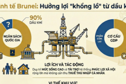 Quốc gia duy nhất trong nhóm GDP bình quân đầu người cao nhất Đông Nam Á nhưng không thu thuế thu nhập cá nhân