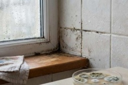 8 bí quyết chống nồm tại nhà không tốn tiền, ai cũng có thể làm được