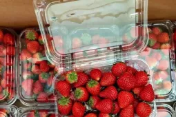 Dâu tây 'nhuộm đỏ' nhiều chợ ở Thủ đô, giá rẻ chưa từng có