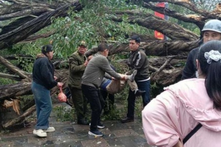 Hà Nội: Cây xanh gãy đổ tại vườn hoa Lý Tự Trọng, hai người bị thương