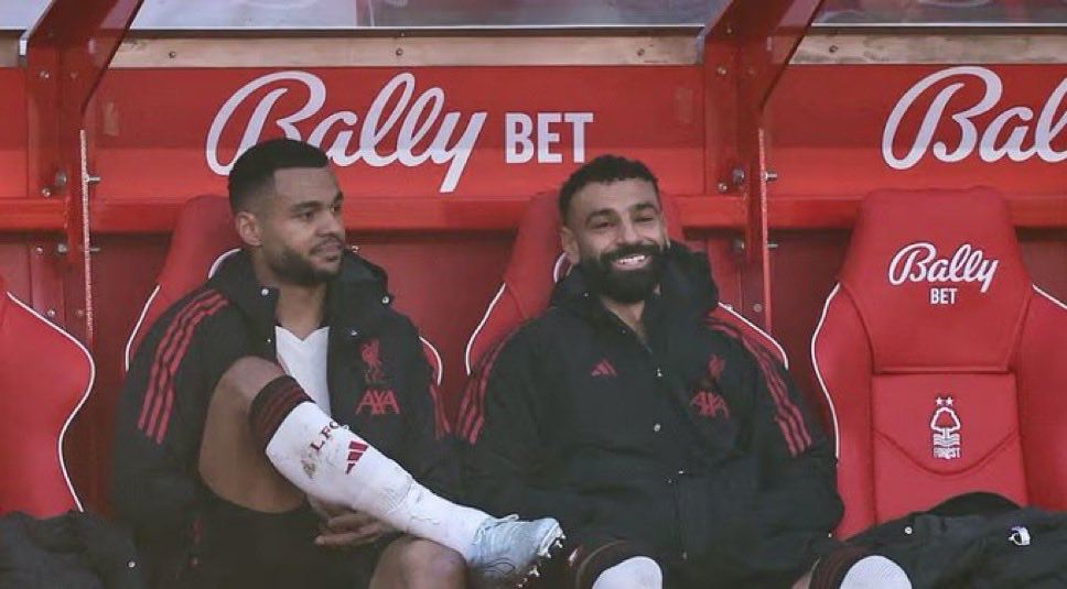 Bộ đôi khiến fan Việt Nam giễu Liverpool là "chim cánh cụt"