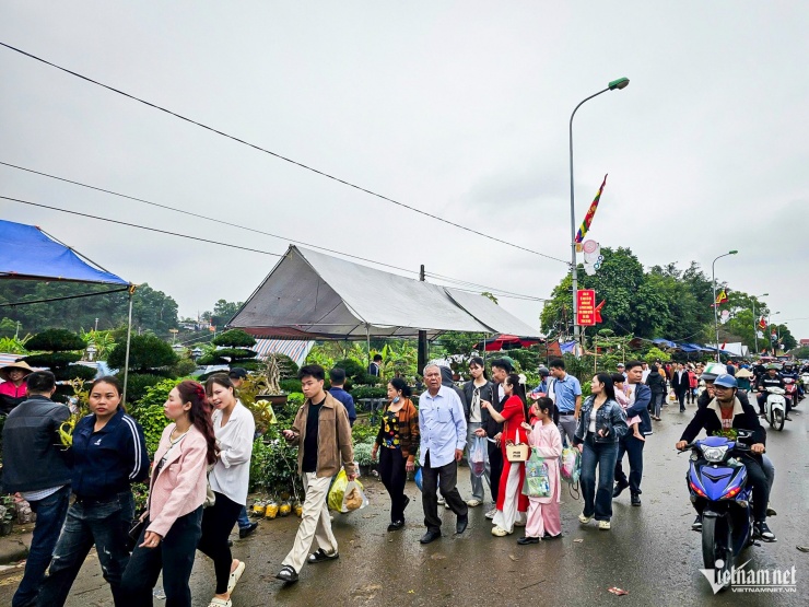 Trắng đêm bán ‘lộc xanh’ ở chợ Viềng Ninh Bình, nông dân thu chục triệu đồng - 1